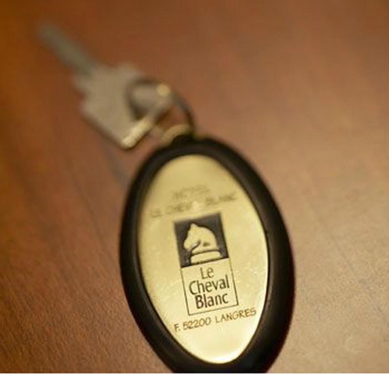 Logis Hotel Le Cheval Blanc Langres Zewnętrze zdjęcie